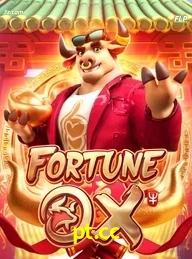 pt.cc cassino online Brasil apresenta Fortune Ox jogo de slots